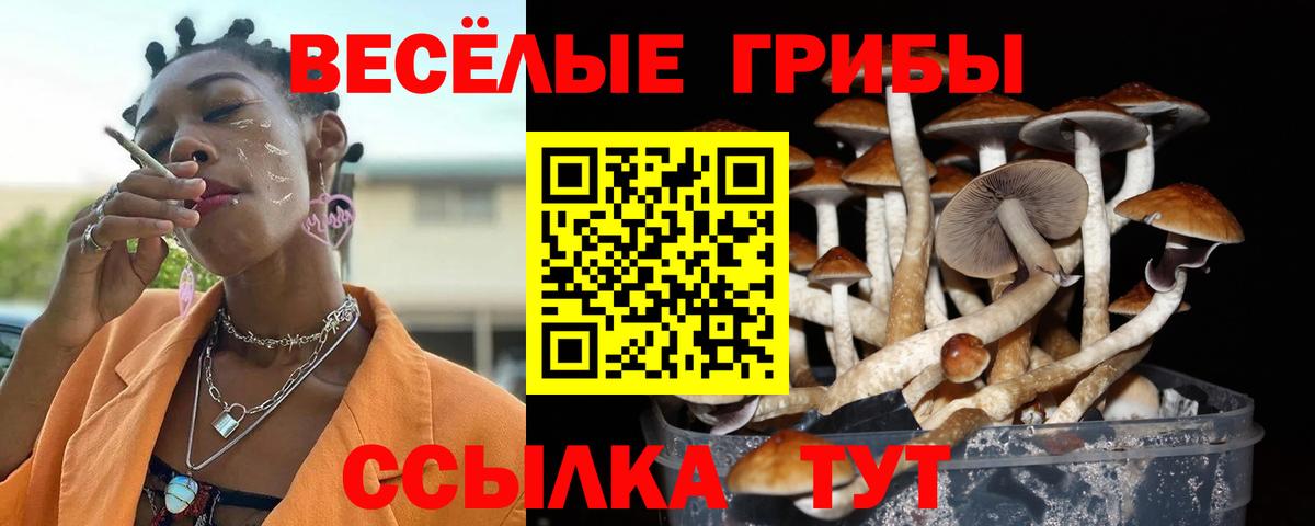 КОКАИН  Людиново  Вход с VPN  Мефедрон кристаллы  A PVP СК кристаллы  МЕТ  ГАШИШ  МЕФ 